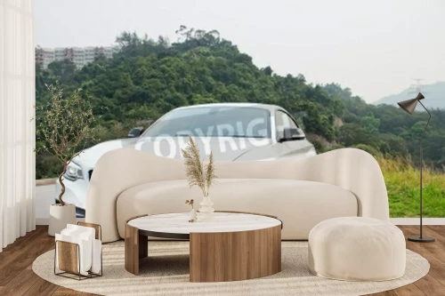 Visualisatie van het product