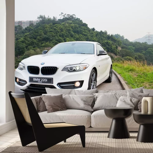 Fotobehang BMW 220i 2014 Sedan, all new series, small sedan 