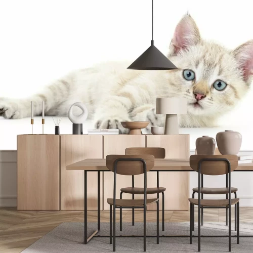 Sticker Witte kat die op zijn kant ligt met uitgestrekte poten