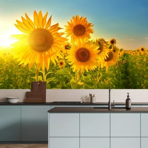 Fotobehang Zonnebloemen