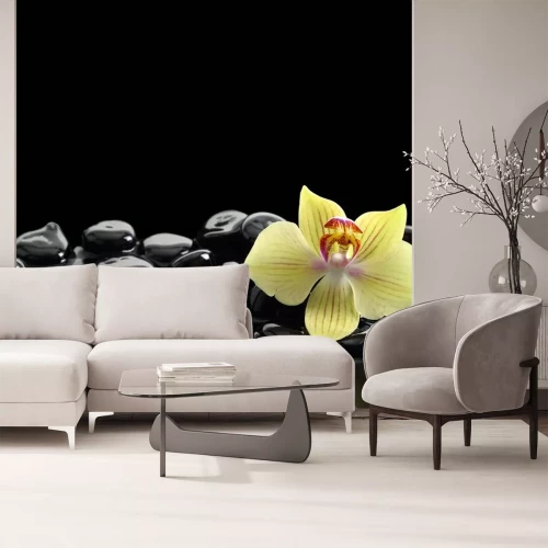 Sticker Zwart Zen stenen en orchidee op kalm water achtergrond