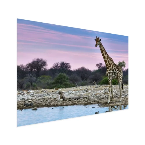 Visualisatie van het product