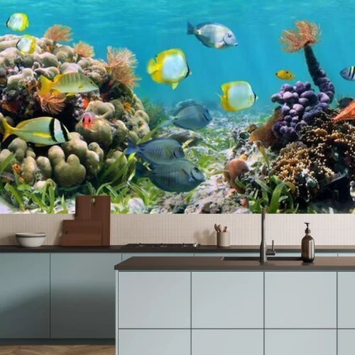 Fotobehang Panoramisch ontwerp met koraalrif