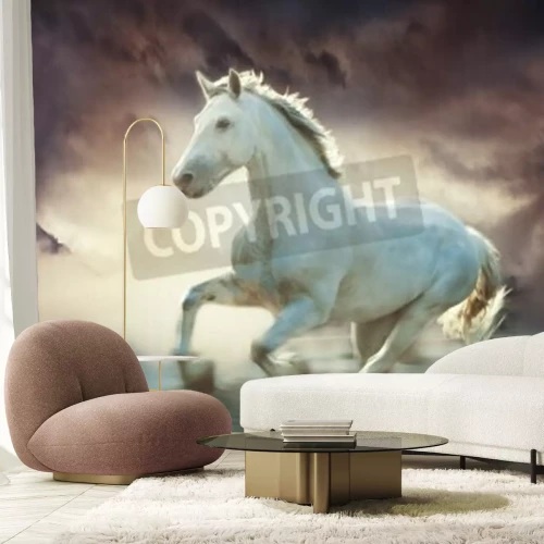 Fotobehang Wit paard in de mist