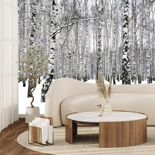 Fotobehang Berkenbos in de winter