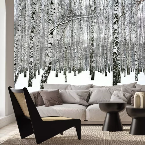 Fotobehang Berkenbos in de winter