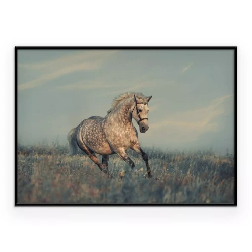 Poster Een paard in het gras tegen een blauwe lucht.