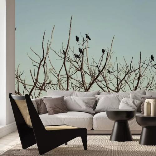 Fotobehang Zwarte vogels op de takken