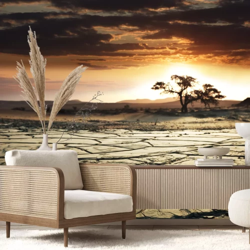 Fotobehang Dorre boom in de woestijn