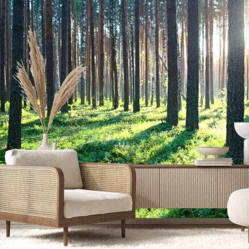 Fotobehang Dennen in een bos