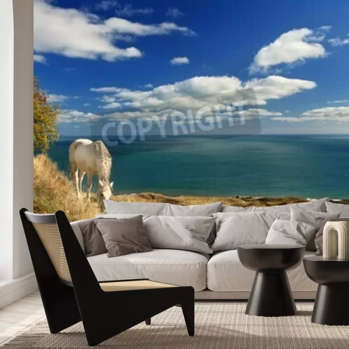 Fotobehang Paard op een achtergrond van zeelandschap