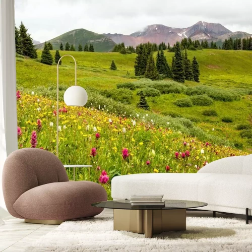 Fotobehang Bloemrijke weide en bergen