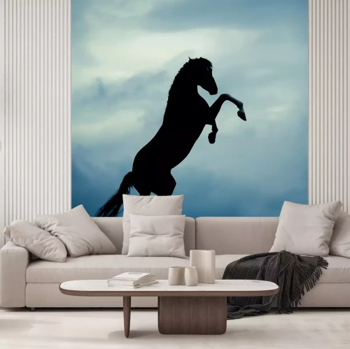 Fotobehang Zwart silhouet van een paard