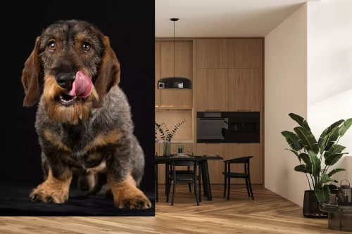 Visualisatie van het product