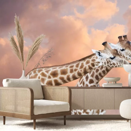 Sticker Paar de girafes dans un ciel de nuages ​​roses