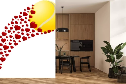 Visualisatie van het product