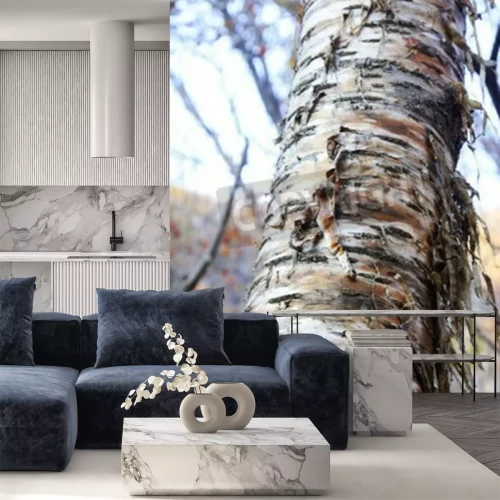 Fotobehang Afbladerende berk