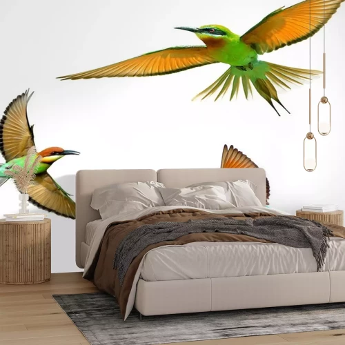 Sticker Oranje vogels op een heldere achtergrond