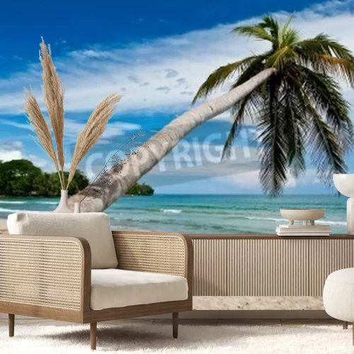 Fotobehang Tropen en blauwe lucht