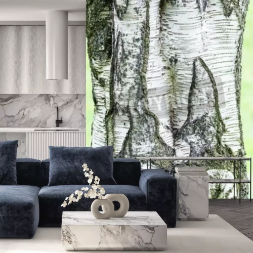 Fotobehang Close-up van berkenschors