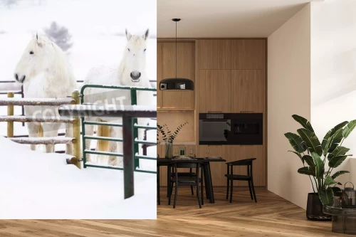 Visualisatie van het product