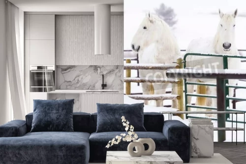 Visualisatie van het product