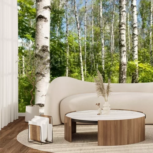 Fotobehang Berken groene struiken en gras