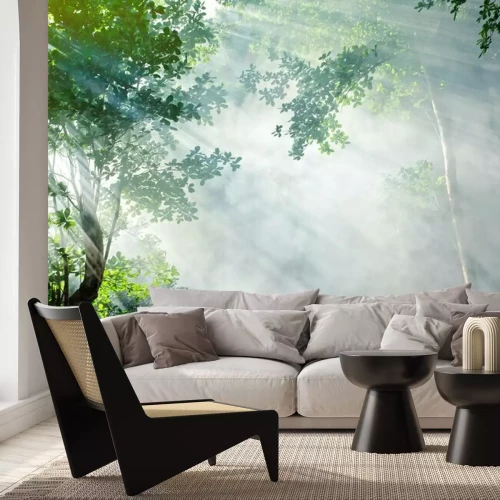 Fotobehang Mooie ochtend tropisch bos zonnestraal