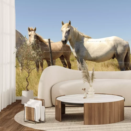 Fotobehang Paarden achter een hek