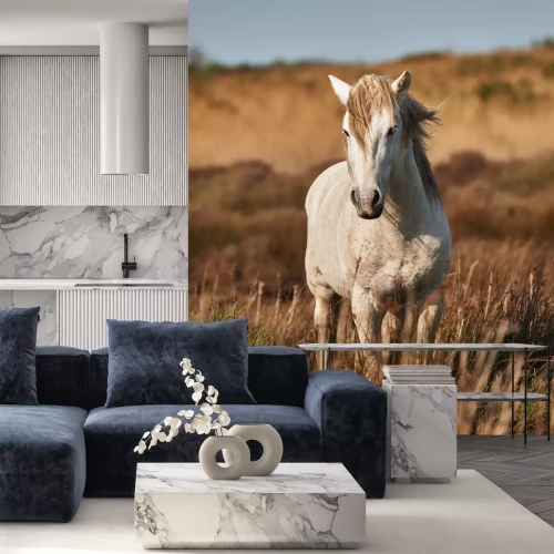 Fotobehang Hengst op een wilde weide