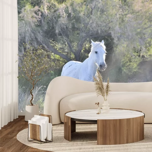 Fotobehang Wit paard op de achtergrond van bomen