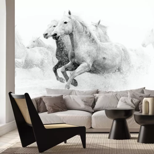 Fotobehang Galopperende paarden in zwart-wit