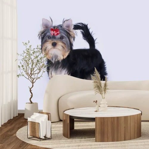 Sticker Yorkshire terrier puppy op een geïsoleerde achtergrond