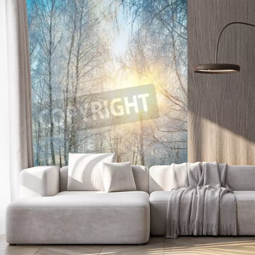 Fotobehang Bevroren berken in de winter