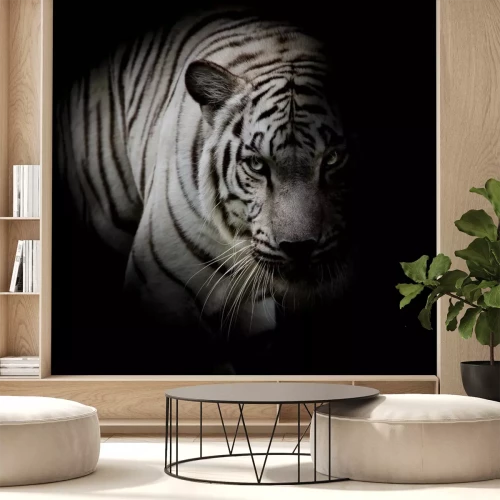 Sticker Tijgersilhouet in de schaduw