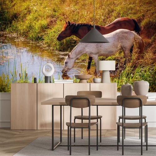 Fotobehang Paarden drinken water uit een rivier