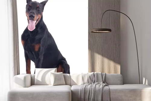 Visualisatie van het product