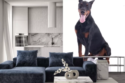 Visualisatie van het product