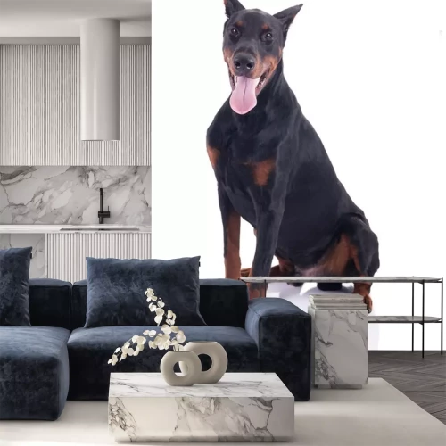 Sticker Dobermann zitten