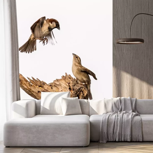 Sticker Twee vogels op witte achtergrond