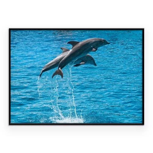 Poster Two dolphins jump above blue water