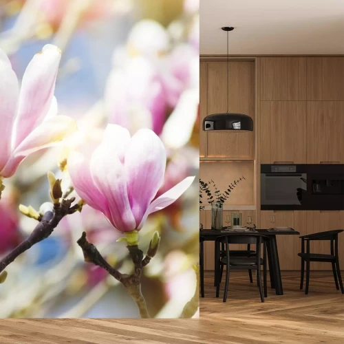 Sticker Verschillende knoppen van roze magnolia