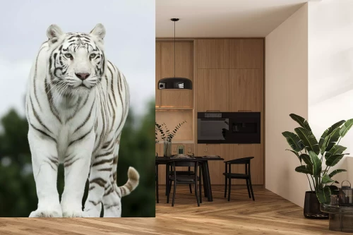 Visualisatie van het product