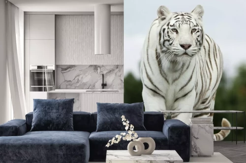 Visualisatie van het product