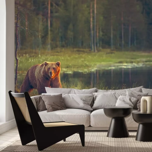 Fotobehang Beer bij het veenmoeras