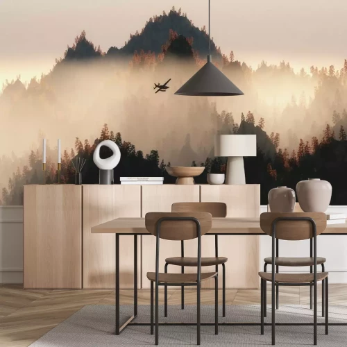 Fotobehang Vliegtuig op de achtergrond van het boslandschap