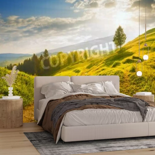 Fotobehang Zonsopgang boven een open plek