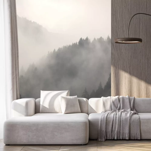 Fotobehang Grijze bossen en bergen