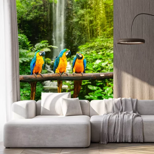 Fotobehang Kleurrijke papegaaien in de jungle