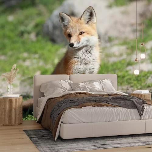 Fotobehang Kleine rode vos